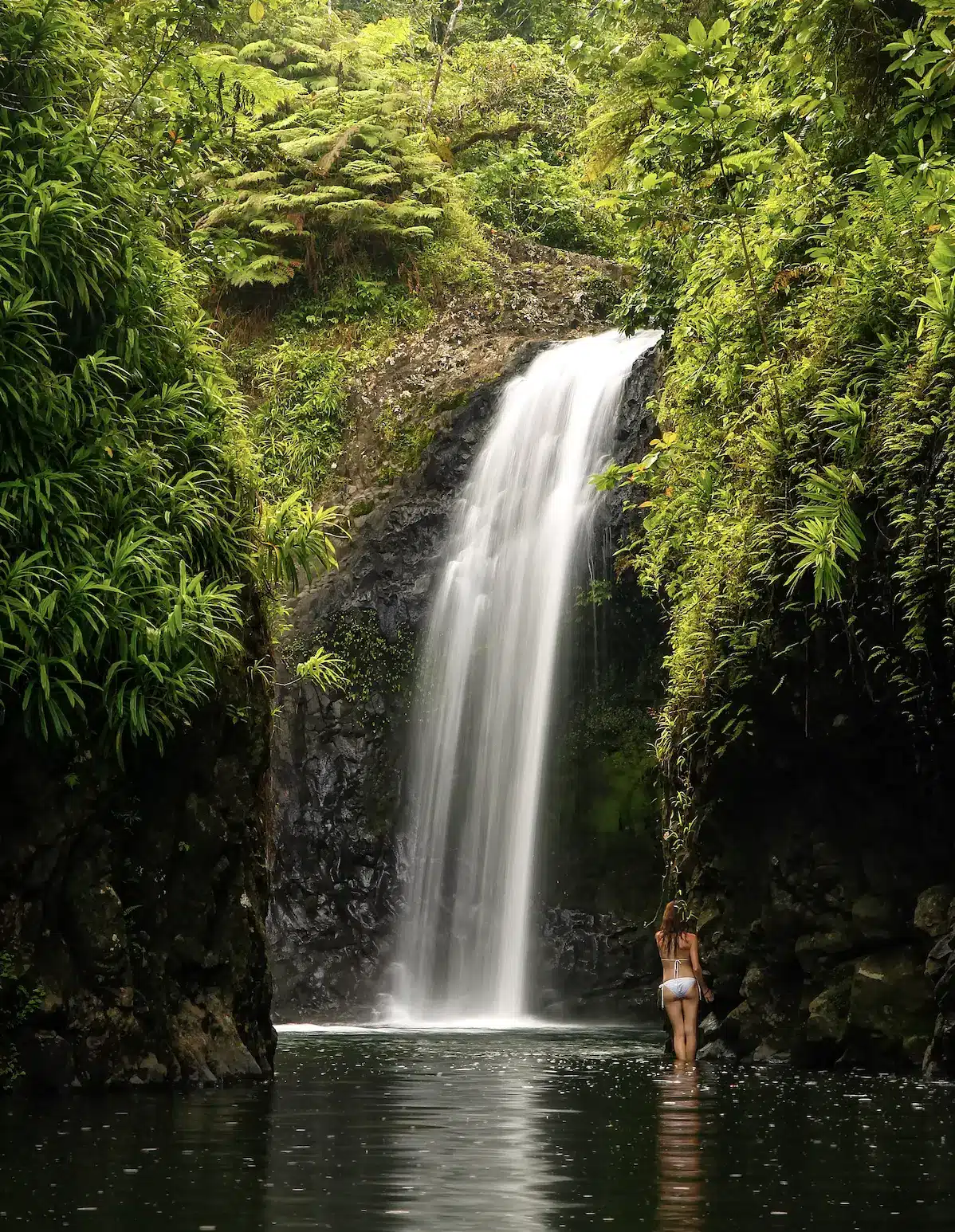 The lush island of Taveuni Island in Fiji.